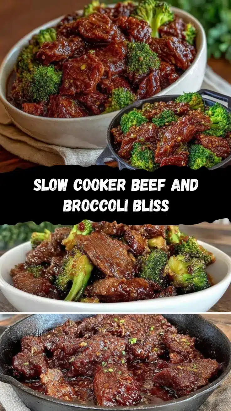 crockpot beef and broccoli recipe recipe