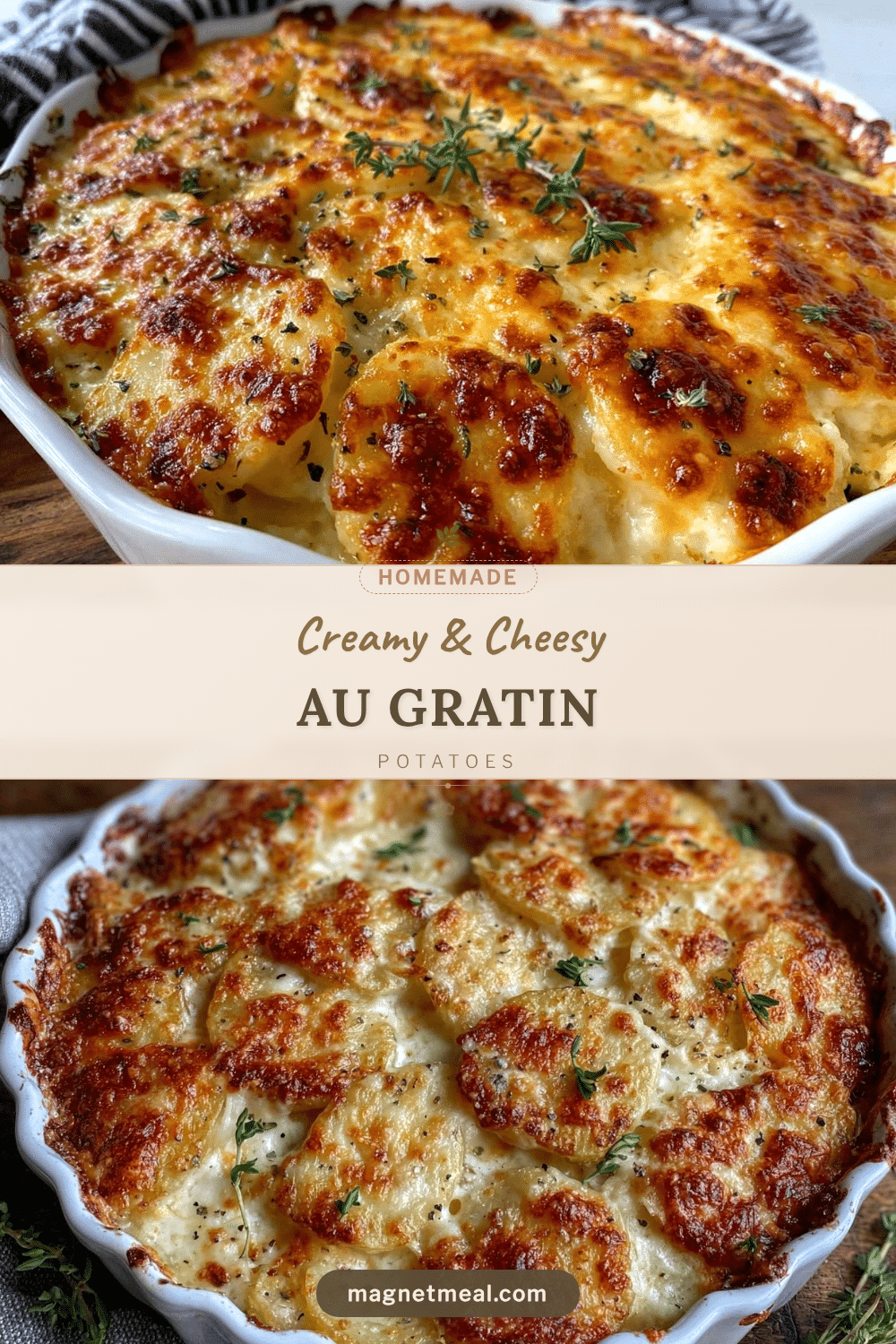 creamy cheesy au gratin potatoes recipe
