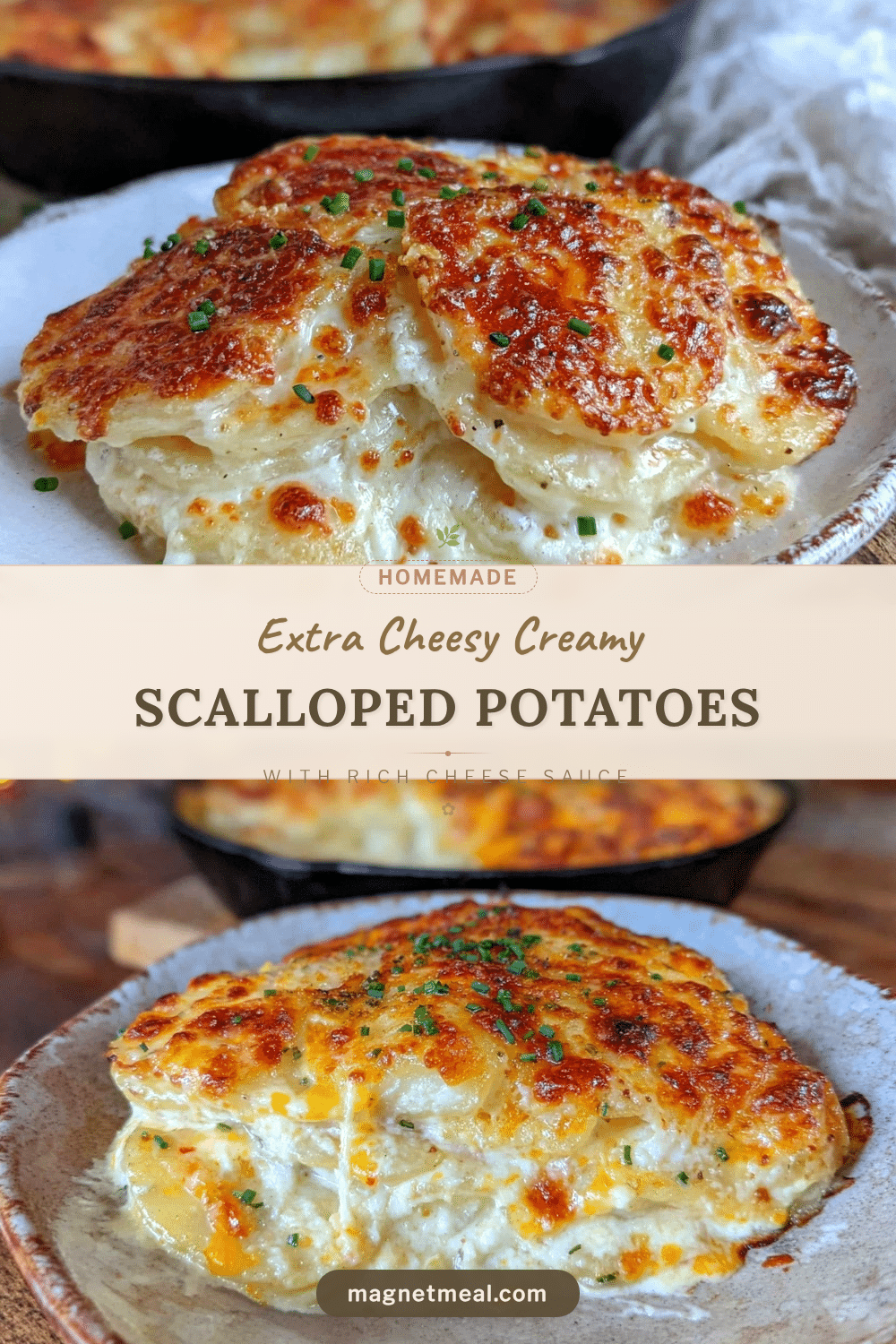 creamy extra cheesy scalloped potatoes recipe