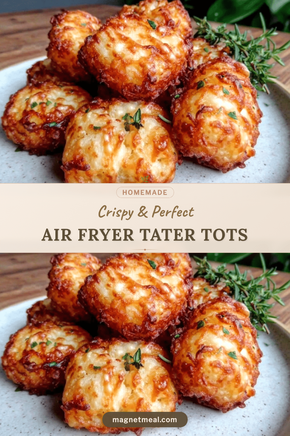 crispy air fryer tater tots recipe