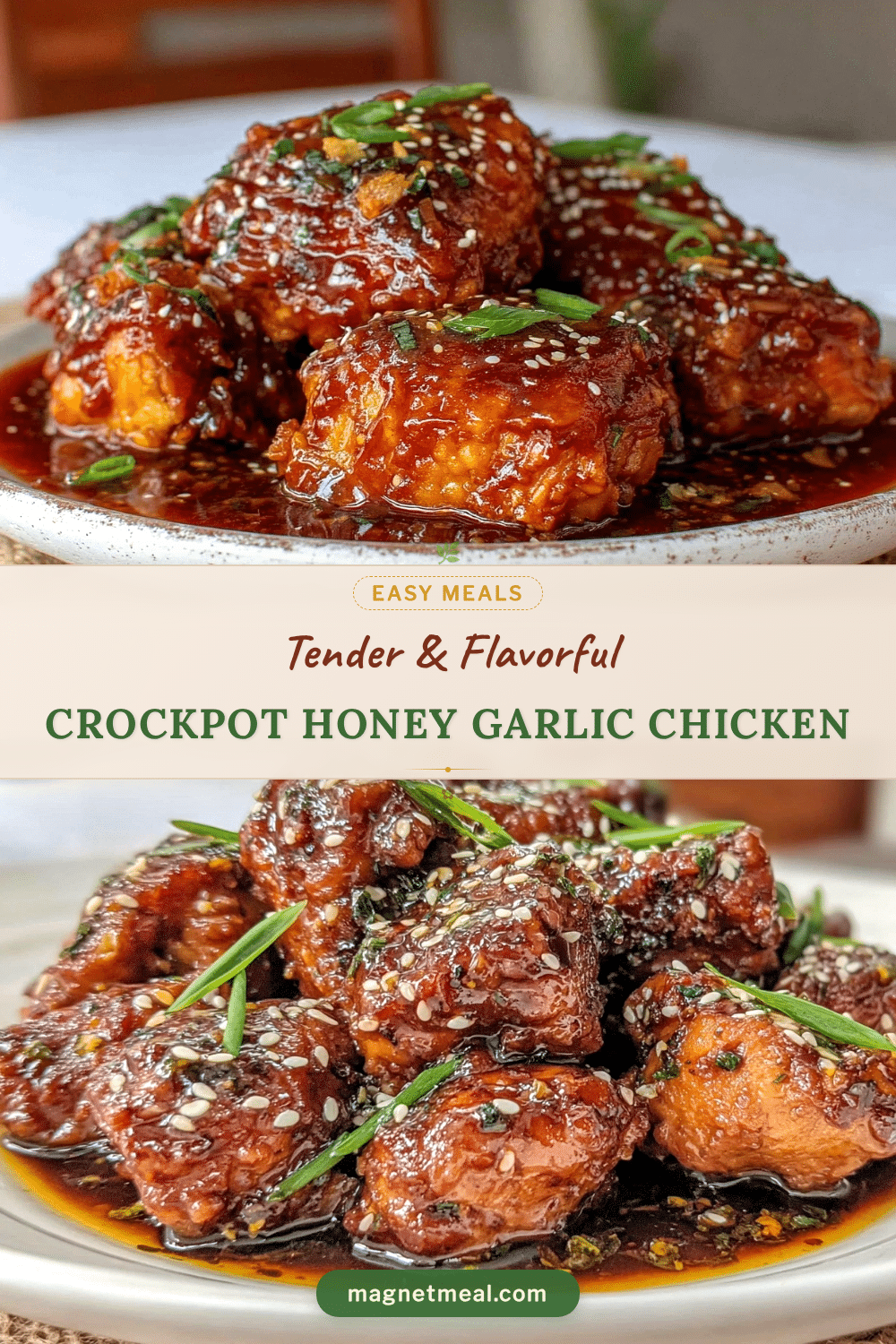 crockpot honey garlic chicken recipe