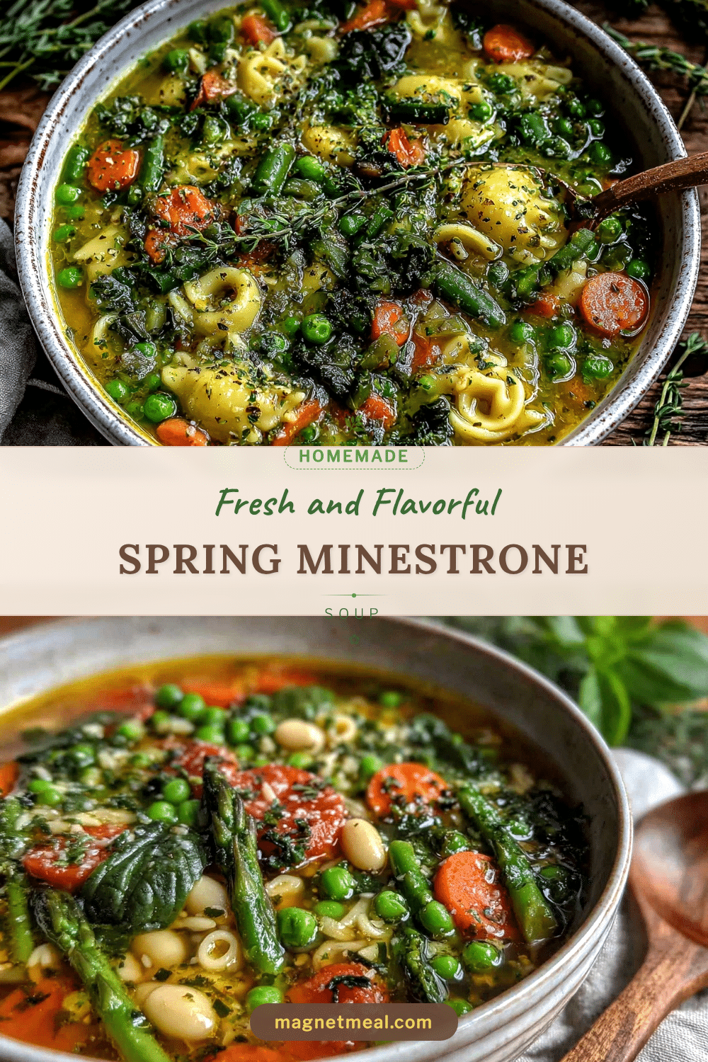 fresh spring minestrone soup recipe