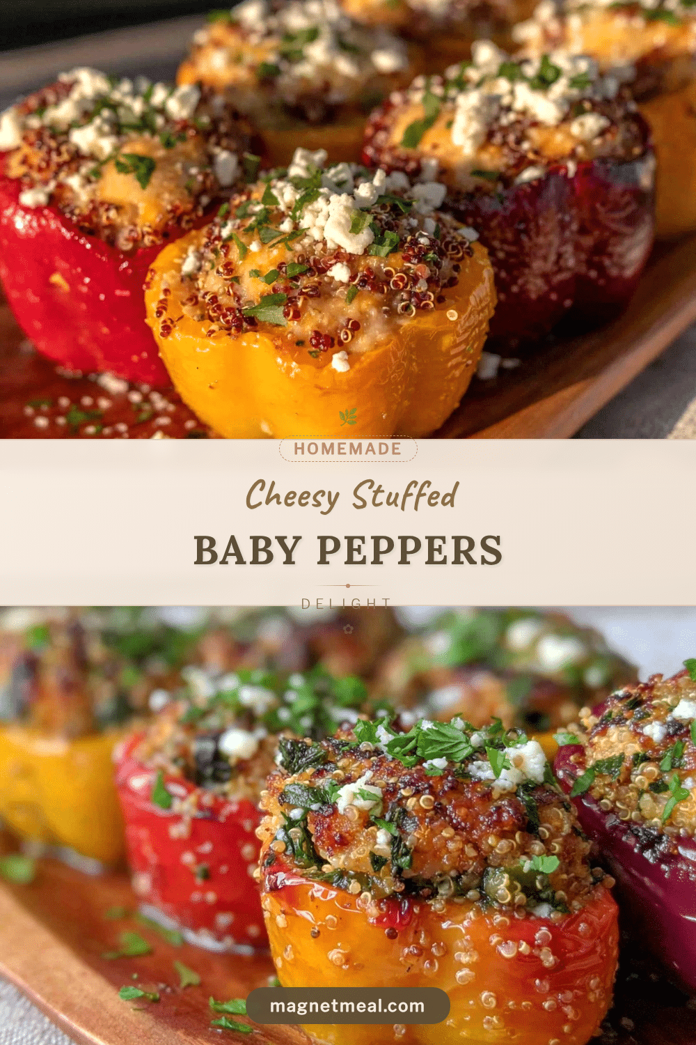 fresh stuffed baby peppers recipe