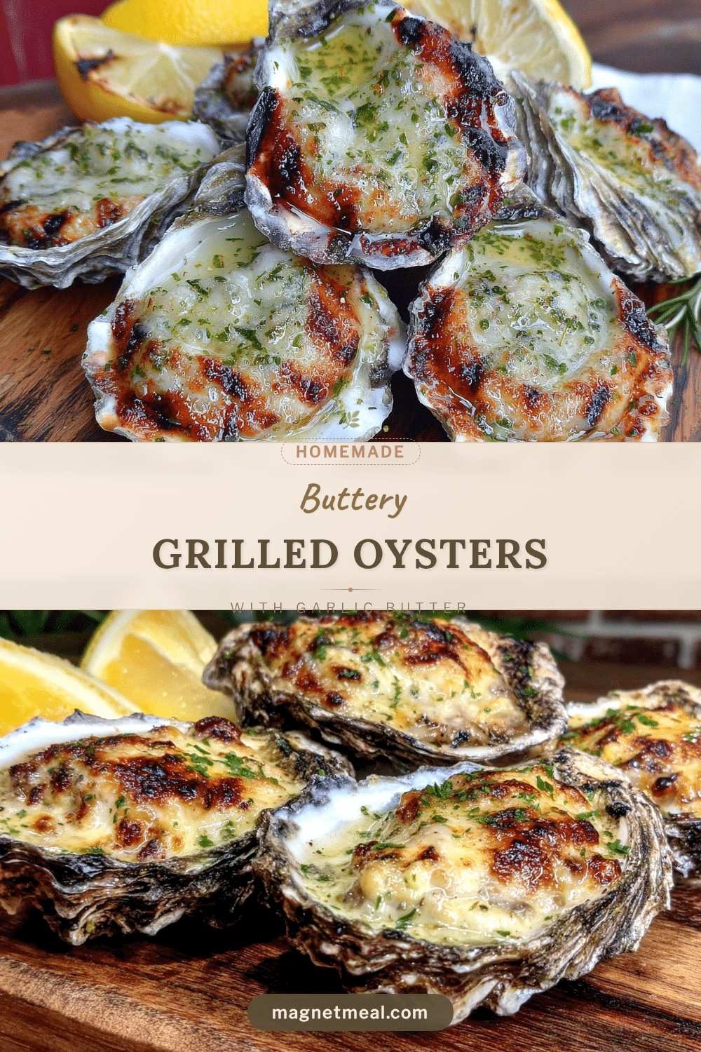 grilled oysters with garlic butter recipe