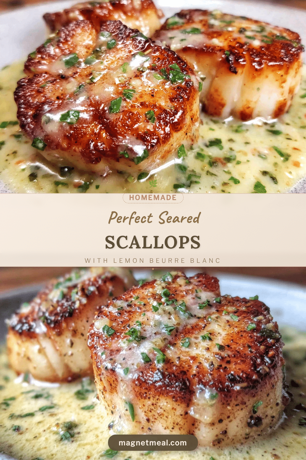 perfect seared scallops with lemon beurre blanc recipe
