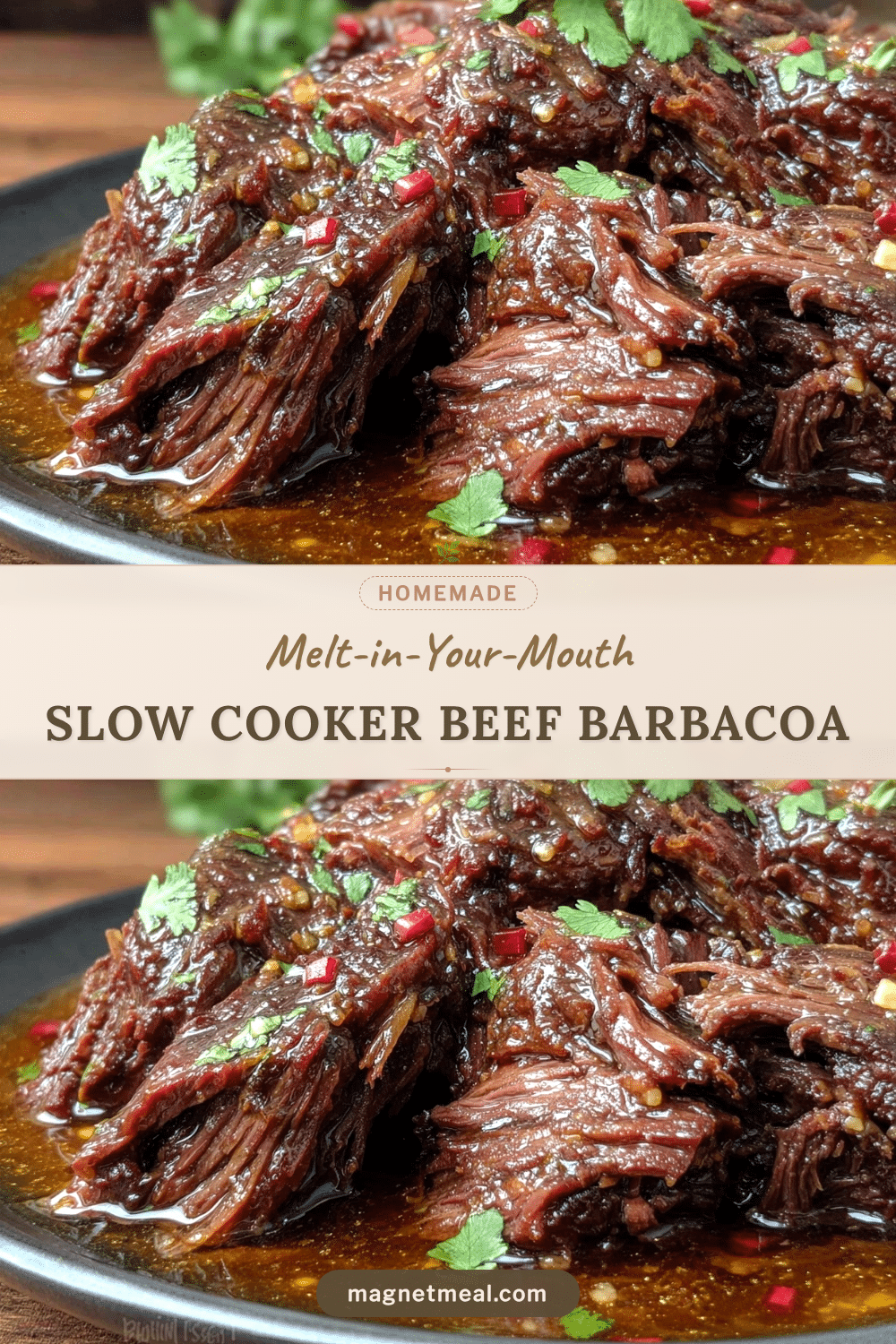 slow cooker beef barbacoa recipe