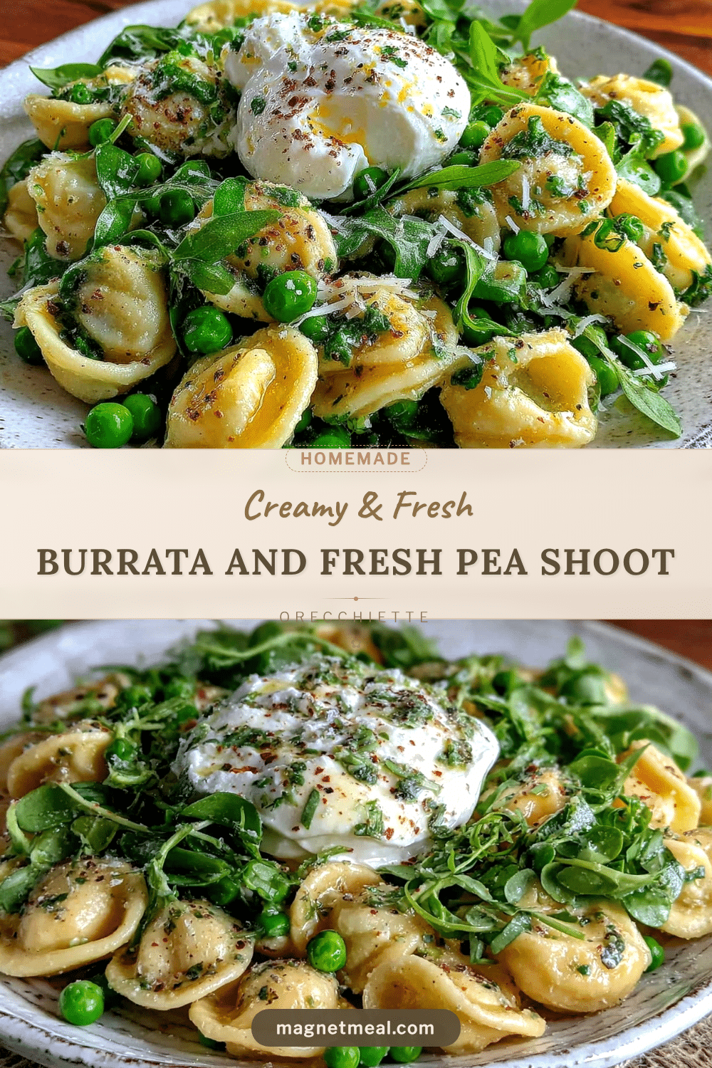 creamy burrata and pea shoot orecchiette recipe