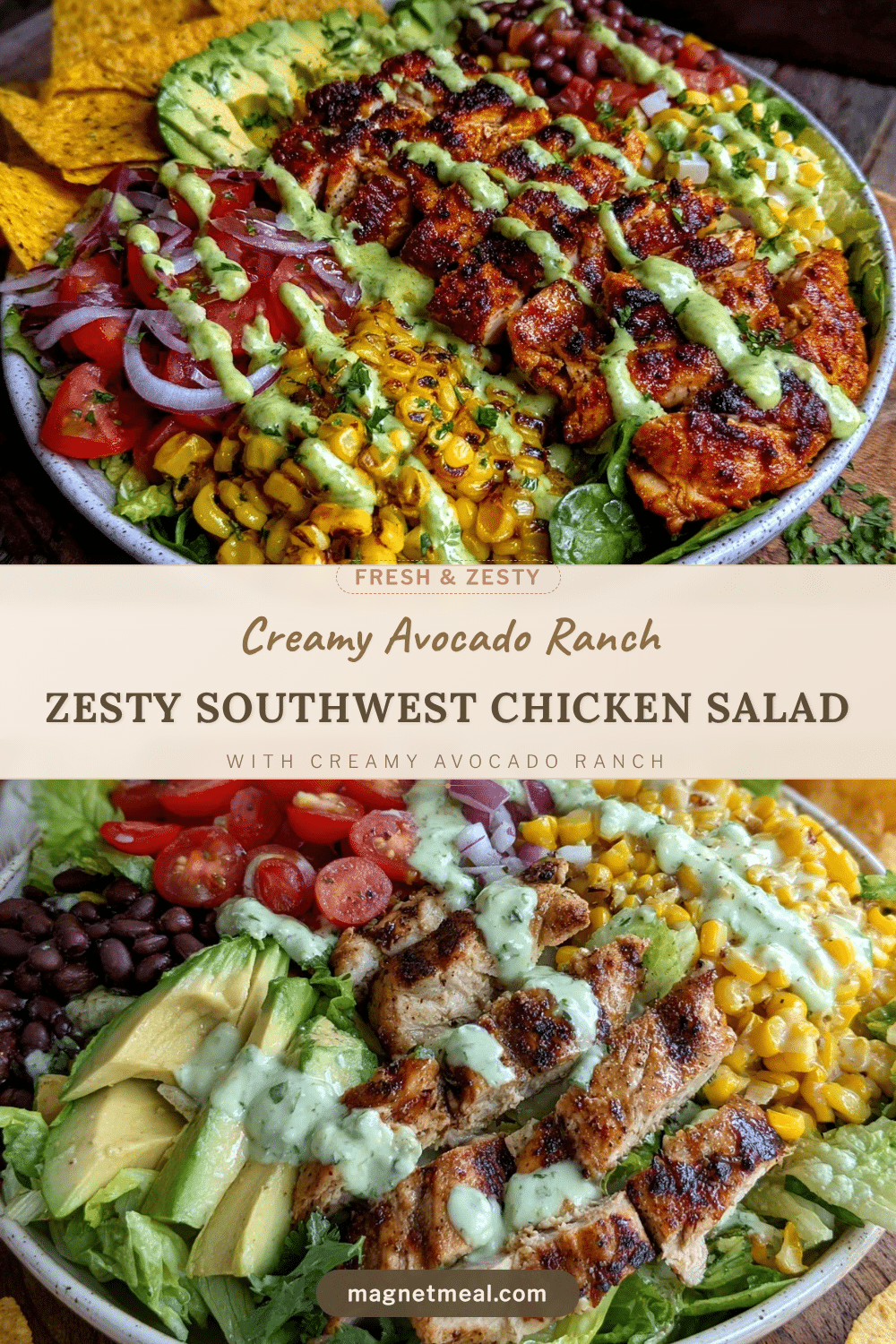 fresh southwest chicken salad recipe