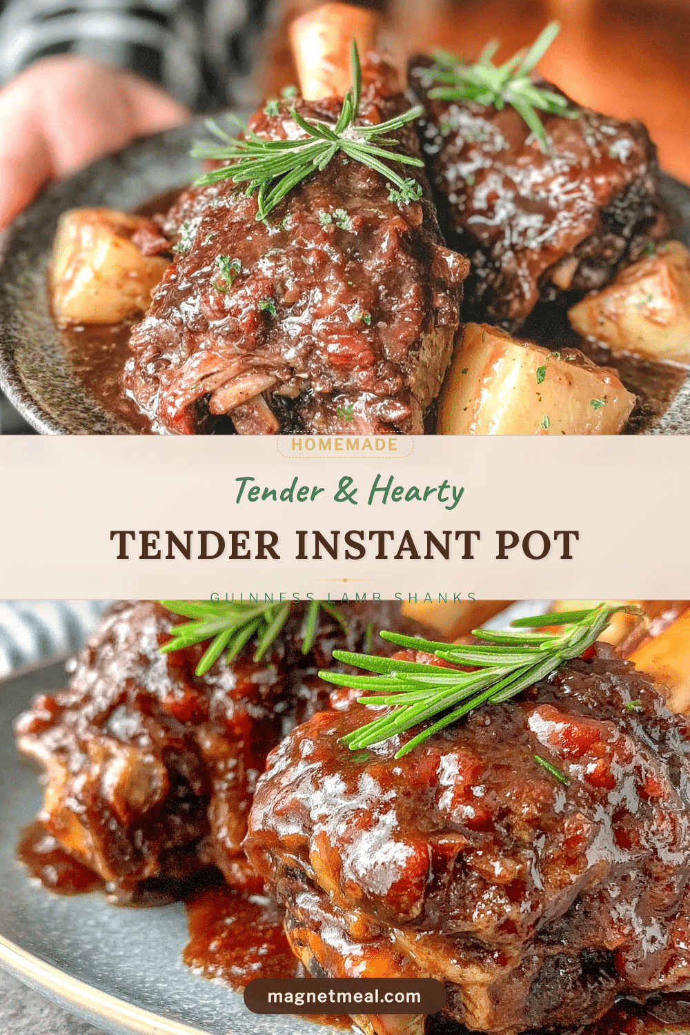 instant pot guinness lamb shanks recipe