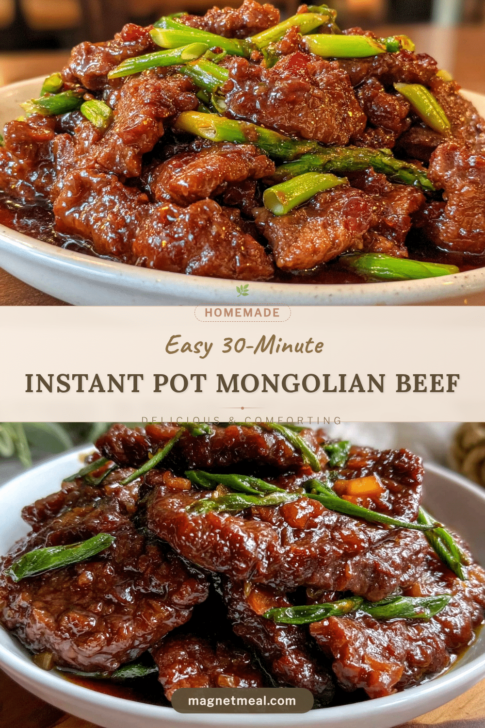 instant pot mongolian beef recipe