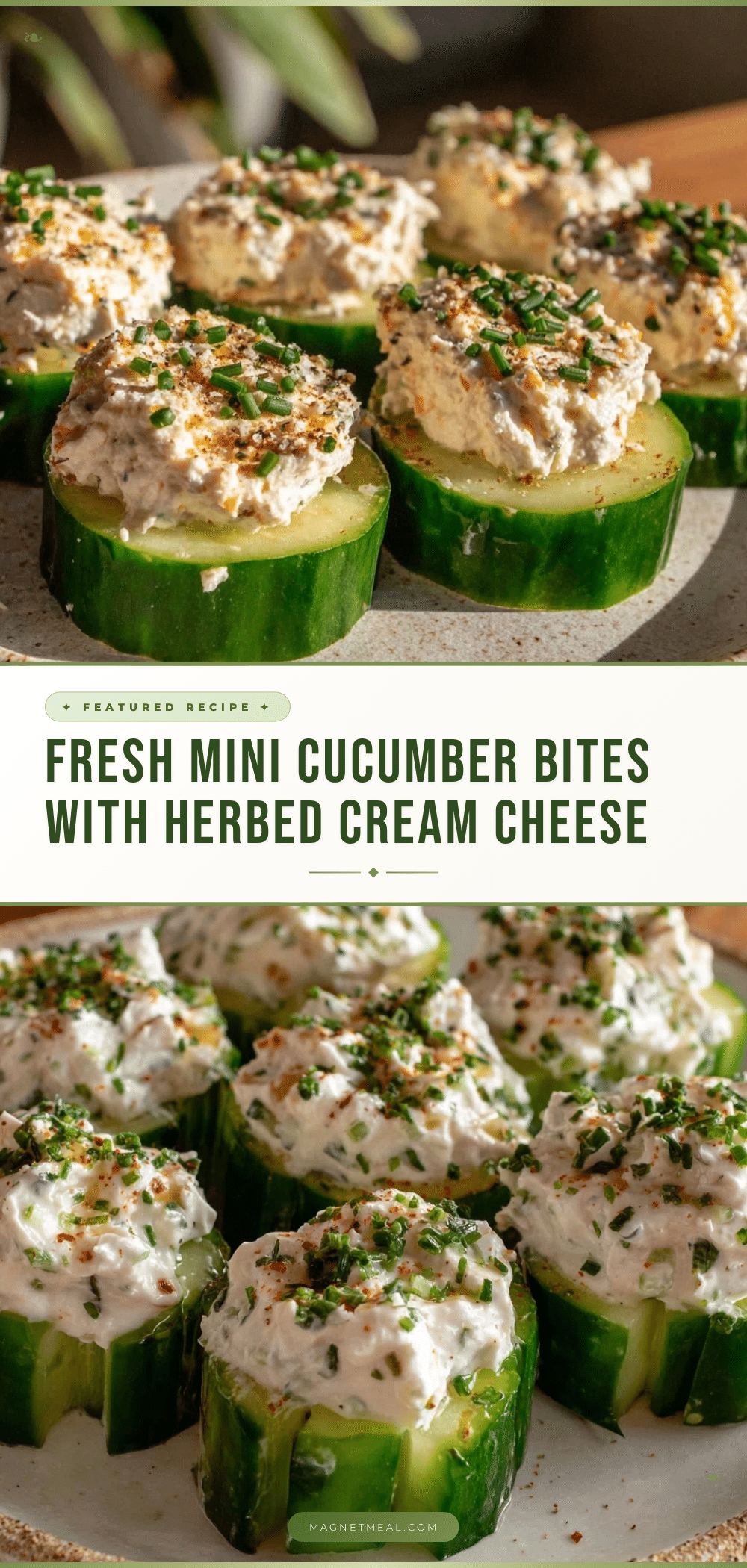 fresh mini cucumber bites recipe