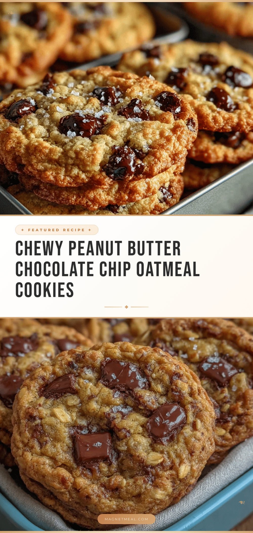 chewy peanut butter chocolate chip oatmeal cookies recipe
